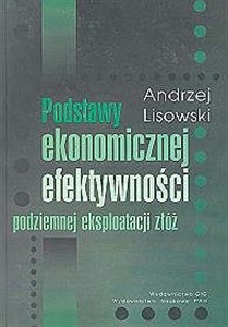 Podstawy ekonomicznej efektywności podziemnej eksploatacji złóż pl online bookstore