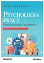 Psychologia pracy Podstawowe pojęcia i zagadnienia. Wydanie 3 zaktualizowane i rozszerzone books in polish