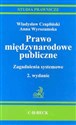 Prawo międzynarodowe publiczne 2. wydanie 