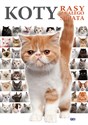 Koty Rasy z całego świata - Opracowanie Zbiorowe