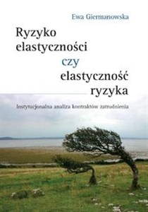 Ryzyko elastyczności czy elastyczność ryzyka Instytucjonalna analiza kontraktów zatrudnienia polish usa