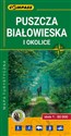 Puszcza Białowieska mapa laminowana Polish Books Canada