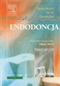 Endodoncja in polish