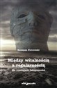 Między witalnością a regularnością Na rozstajach faktyczności polish usa