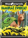 Moja przyroda Kamuflaż zwierząt - Polish Bookstore USA