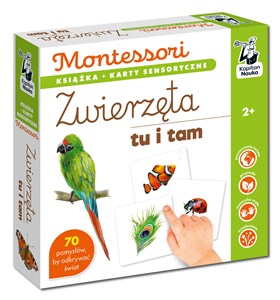 Montessori Zwierzęta tu i tam Karty sensoryczne z książeczką Kapitan Nauka polish usa