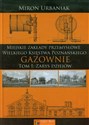 Gazownie Tom 1 Zarys dziejów Miejskie Zakłady Przemysłowe Wielkiego Księstwa Poznańskiego  