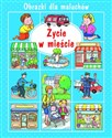 Życie w mieście Obrazki dla maluchów pl online bookstore