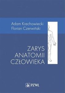 Zarys anatomii człowieka 