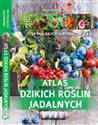 Atlas dzikich roślin jadalnych 150 polskich gatunków  