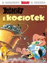 Asteriks i kociołek. Asteriks. Tom 13 wyd. 2024   