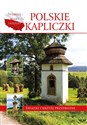 Polskie kapliczki Świątki i krzyże przydrożne 