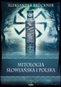 Mitologia słowiańska i polska - Aleksander Brückner - Polish Bookstore USA