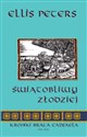 Świątobliwy złodziej Tom 19 online polish bookstore