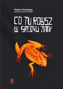 Co tu robisz w środku zimy buy polish books in Usa