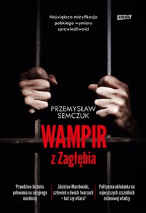 Wampir z Zagłębia pl online bookstore