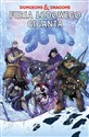 Dungeons & Dragons Furia lodowego giganta Tom 3  chicago polish bookstore