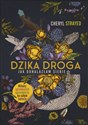 Dzika droga Jak odnalazłam siebie - Cheryl Strayed