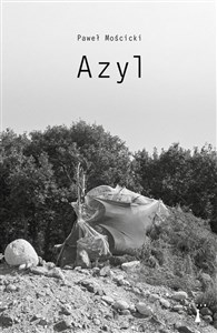 Azyl buy polish books in Usa