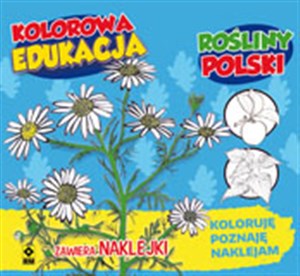 Kolorowa edukacja Rośliny Polski naklejka books in polish