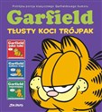 Garfield Tłusty koci trójpak Tom 1  