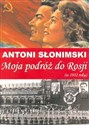 Moja podróż do Rosji w 1932 roku Polish Books Canada
