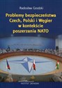 Problemy bezpieczeństwa Czech, Polski i Węgier w kontekście poszerzania NATO in polish