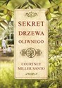 Sekret drzewa oliwnego chicago polish bookstore