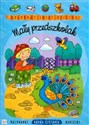 Kolorowy świat dziecka Mały przedszkolak - Agnieszka Bator