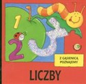 Liczby Z gąsienicą poznajemy polish usa