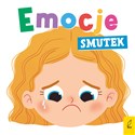 Emocje Smutek - Anna Paszkiewicz