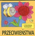 Przeciwieństwa Z pszczółką poznajemy pl online bookstore