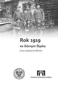 Rok 1919 na Górnym Śląsku Czas eskalacji konfliktów 