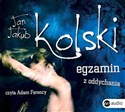 [Audiobook] Egzamin z oddychania - Jan Jakub Kolski buy polish books in Usa
