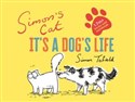 Simon's Cat: It's a Dog's Life Polish bookstore