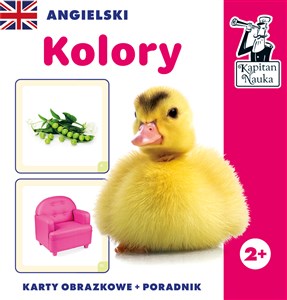 Kapitan Nauka Angielski Kolory (karty obrazkowe + poradnik) polish usa