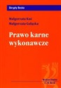 Prawo karne wykonawcze bookstore