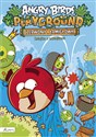 Angry Birds Playground Czerwony i łamigłówki Książka z naklejkami buy polish books in Usa