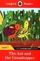 Ladybird Readers Level 1 The Ant and the Grasshopper  pl online bookstore