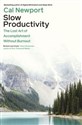 Slow Productivity The Lost Art of Accomplishment Without Burnout  