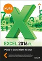Excel 2016 PL. Kurs polish books in canada