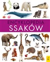 Encyklopedia ssaków online polish bookstore