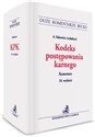 Kodeks postępowania karnego. Komentarz  pl online bookstore