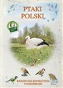 Ptaki Polski Książeczka edukacyjna z naklejkami to buy in USA