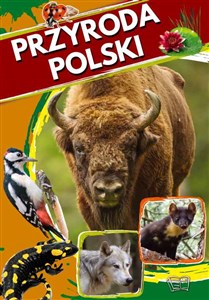 Przyroda Polski online polish bookstore