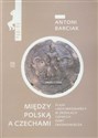 Między Polską a Czechami Śląsk i jego mieszkańcy w źródłach czeskich doby średniowiecza 