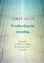 Przebudzenie aniołów Kazania o bliskości Boga w niespokojnych czasach - Tomáš Halik
