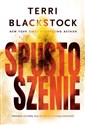 Spustoszenie - Terri Blackstock