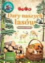 Dary naszych lasów  chicago polish bookstore