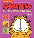 Garfield Tłusty koci trójpak Tom 13 in polish